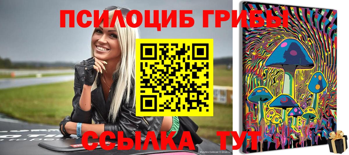 Аша  Псилоцибиновые грибы мицелий  цены наркотик  Псилоцибиновые грибы прущие грибы  Вход с VPN 